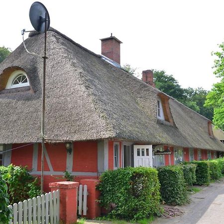 Wohnungen Unter Reet Krems Zwei Bagian luar foto