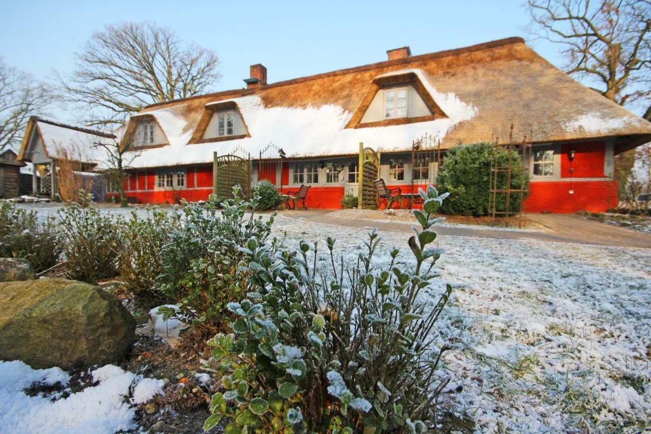Wohnungen Unter Reet Krems Zwei Bagian luar foto
